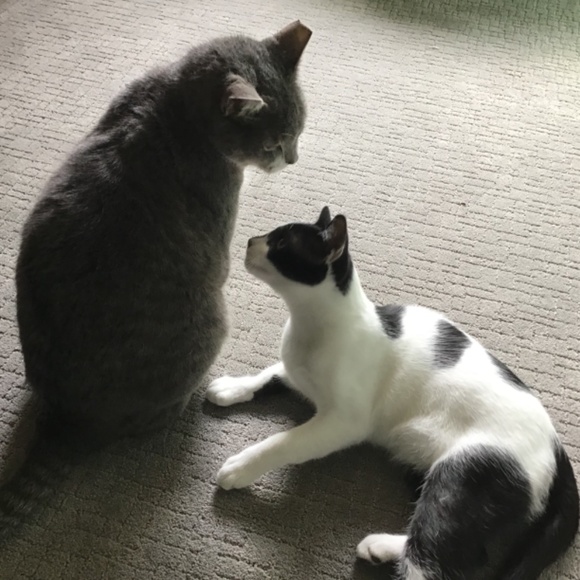 Meet your Posher, Pat - Picture 5 of 7